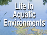 Image for Life in Aquatic Environments