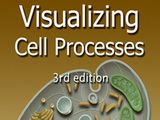 Image for Visualizing Cell Processes