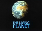 Image for The Living Planet