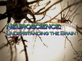 Image for Neuroscience: Understanding the Brain