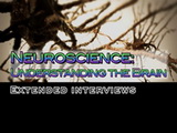 Image for Neuroscience: Understanding the Brain - Extended Interviews