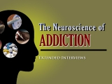 Image for The Neuroscience of Addiction - Extended Interviews